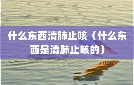 什么东西清肺止咳（什么东西是清肺止咳的）