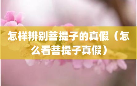 怎样辨别菩提子的真假（怎么看菩提子真假）