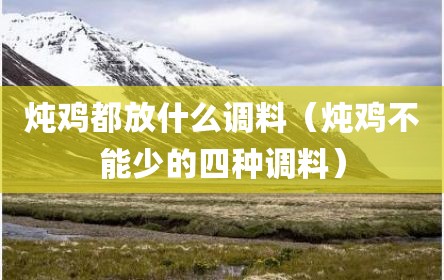 炖鸡都放什么调料（炖鸡不能少的四种调料）