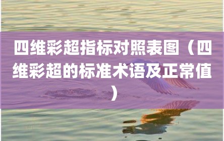 四维彩超指标对照表图（四维彩超的标准术语及正常值）