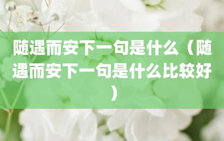 随遇而安下一句是什么（随遇而安下一句是什么比较好）