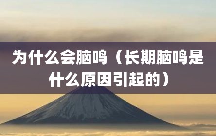 为什么会脑鸣（长期脑鸣是什么原因引起的）