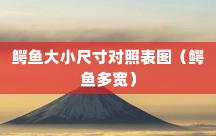 鳄鱼大小尺寸对照表图（鳄鱼多宽）
