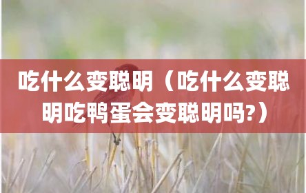 吃什么变聪明（吃什么变聪明吃鸭蛋会变聪明吗?）
