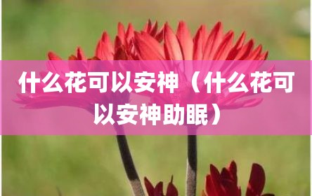 什么花可以安神（什么花可以安神助眠）