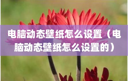 电脑动态壁纸怎么设置（电脑动态壁纸怎么设置的）