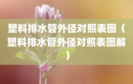 塑料排水管外径对照表图（塑料排水管外径对照表图解）