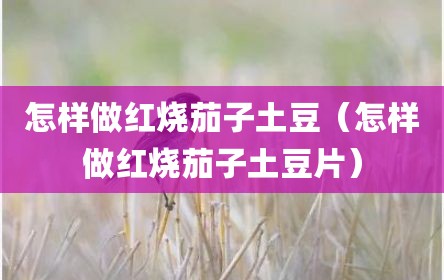 怎样做红烧茄子土豆（怎样做红烧茄子土豆片）