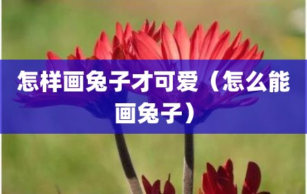 怎样画兔子才可爱（怎么能画兔子）
