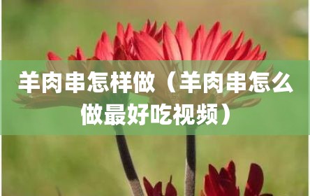 羊肉串怎样做（羊肉串怎么做最好吃视频）