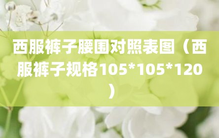 西服裤子腰围对照表图（西服裤子规格105*105*120）