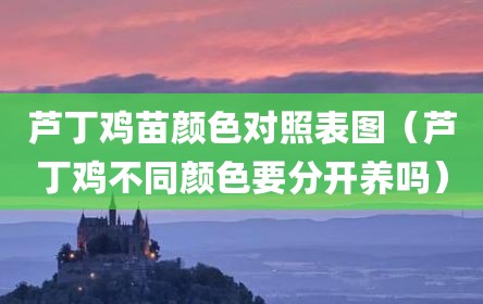 芦丁鸡苗颜色对照表图（芦丁鸡不同颜色要分开养吗）