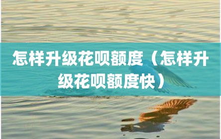 怎样升级花呗额度（怎样升级花呗额度快）