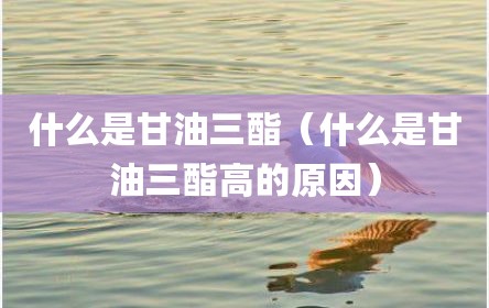 什么是甘油三酯（什么是甘油三酯高的原因）