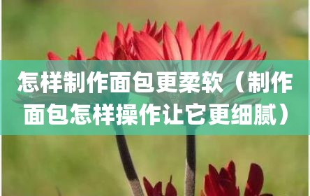 怎样制作面包更柔软（制作面包怎样操作让它更细腻）