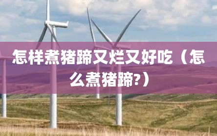 怎样煮猪蹄又烂又好吃（怎么煮猪蹄?）