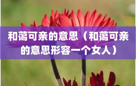 和蔼可亲的意思（和蔼可亲的意思形容一个女人）