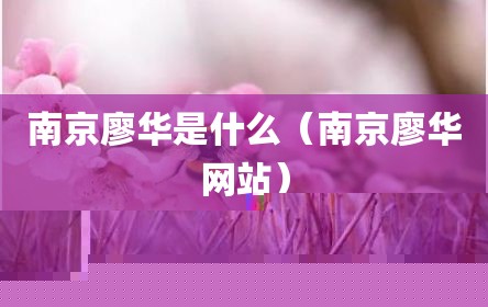 南京廖华是什么（南京廖华网站）