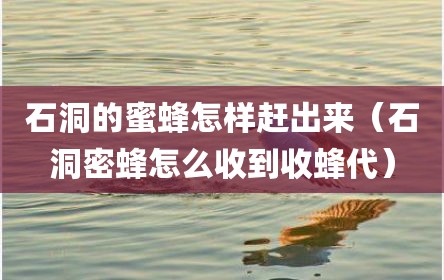 石洞的蜜蜂怎样赶出来（石洞密蜂怎么收到收蜂代）