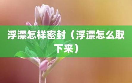 浮漂怎样密封（浮漂怎么取下来）