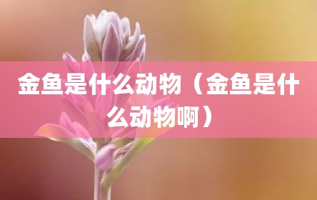 金鱼是什么动物（金鱼是什么动物啊）