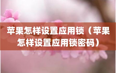苹果怎样设置应用锁（苹果怎样设置应用锁密码）
