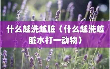 什么越洗越脏（什么越洗越脏水打一动物）