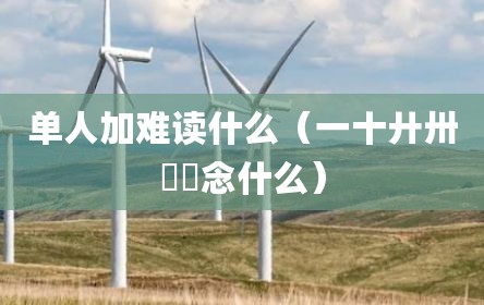 单人加难读什么（一十廾卅卌卌念什么）