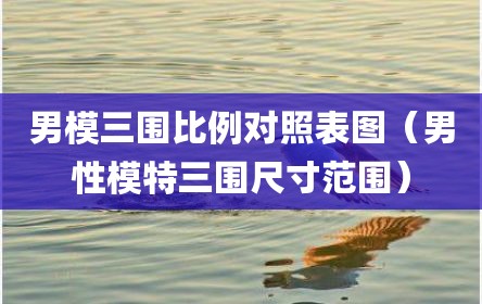 男模三围比例对照表图（男性模特三围尺寸范围）