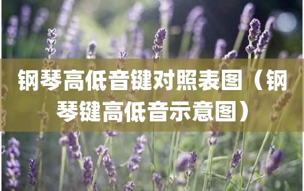钢琴高低音键对照表图（钢琴键高低音示意图）