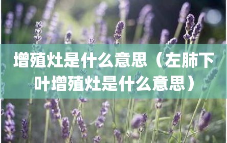 增殖灶是什么意思（左肺下叶增殖灶是什么意思）