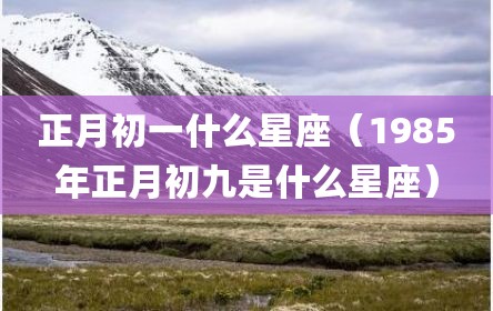 正月初一什么星座（1985年正月初九是什么星座）