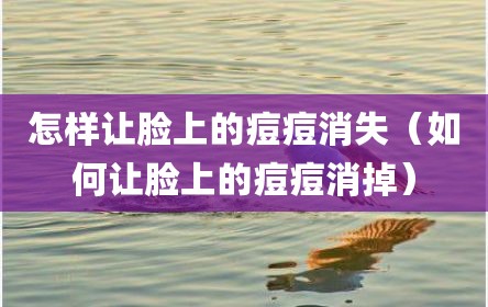 怎样让脸上的痘痘消失（如何让脸上的痘痘消掉）