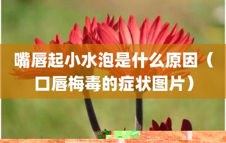 嘴唇起小水泡是什么原因（口唇梅毒的症状图片）