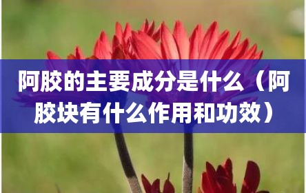阿胶的主要成分是什么（阿胶块有什么作用和功效）