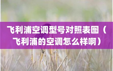 飞利浦空调型号对照表图（飞利浦的空调怎么样啊）