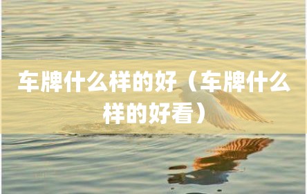 车牌什么样的好（车牌什么样的好看）