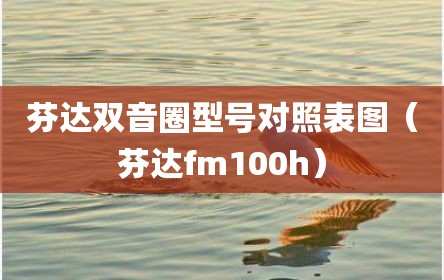 芬达双音圈型号对照表图（芬达fm100h）