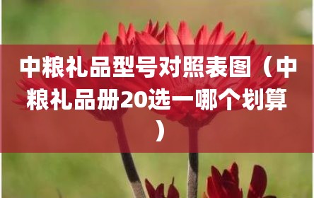 中粮礼品型号对照表图（中粮礼品册20选一哪个划算）