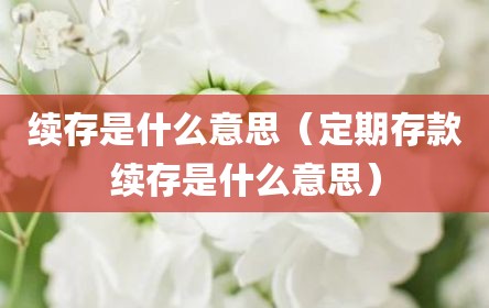 续存是什么意思（定期存款续存是什么意思）