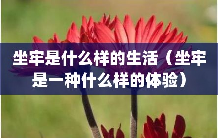 坐牢是什么样的生活（坐牢是一种什么样的体验）