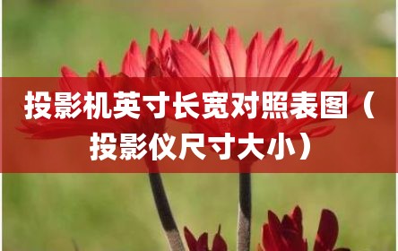 投影机英寸长宽对照表图（投影仪尺寸大小）