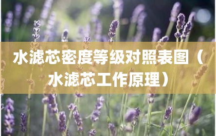 水滤芯密度等级对照表图（水滤芯工作原理）