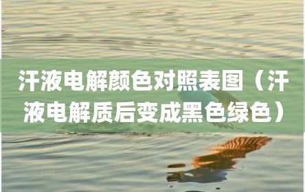 汗液电解颜色对照表图（汗液电解质后变成黑色绿色）