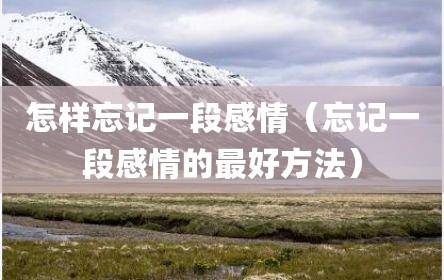 怎样忘记一段感情（忘记一段感情的最好方法）