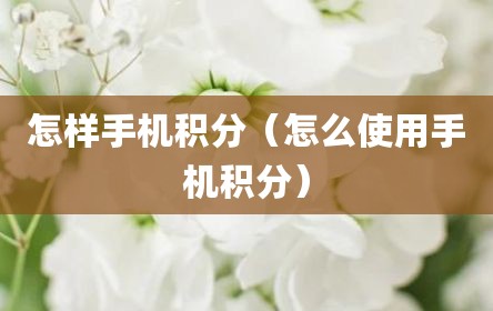 怎样手机积分（怎么使用手机积分）