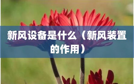 新风设备是什么（新风装置的作用）