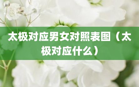 太极对应男女对照表图（太极对应什么）