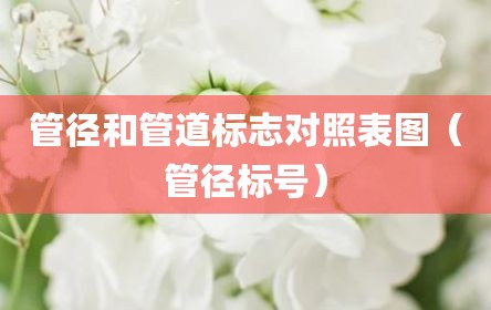 管径和管道标志对照表图（管径标号）