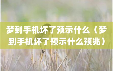 梦到手机坏了预示什么（梦到手机坏了预示什么预兆）